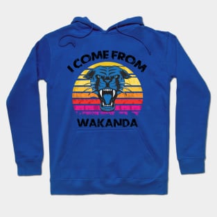 I come from wakanda Hoodie